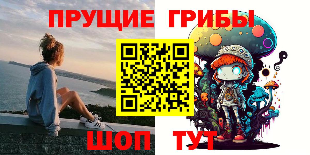 Псилоцибиновые грибы Psilocybe Берёзовский